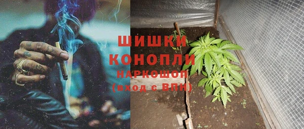 амф Инта