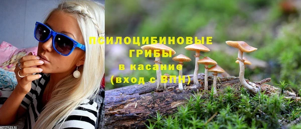 spice Бабаево