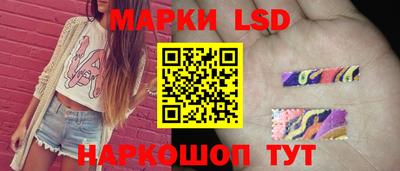 крисы Краснодар
