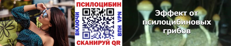 МЕГА   Миасс  Псилоцибиновые грибы мухоморы 